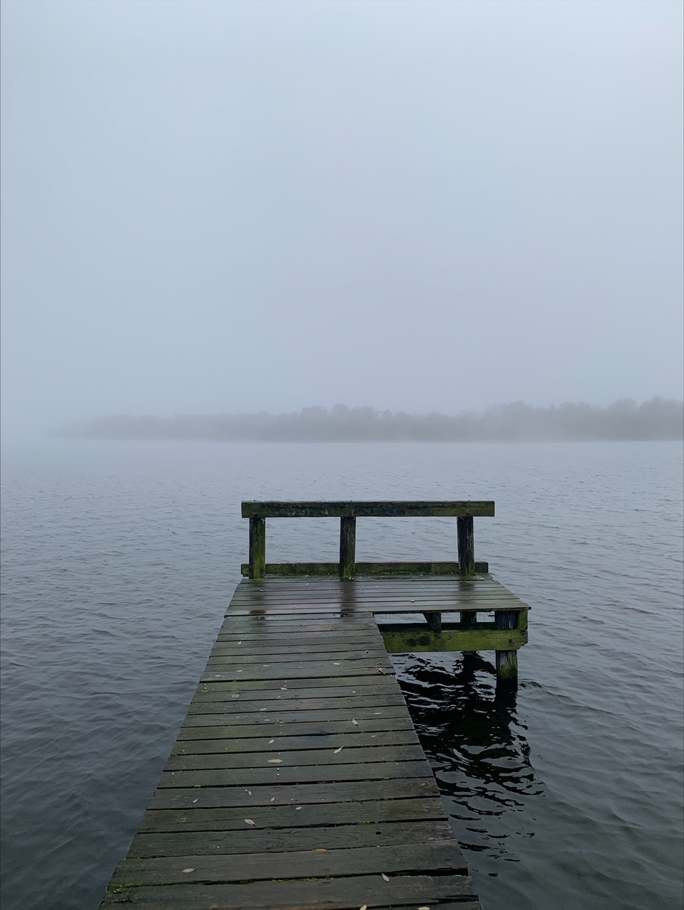 Zen.nl, Zen, meditatie, leren mediteren, foto